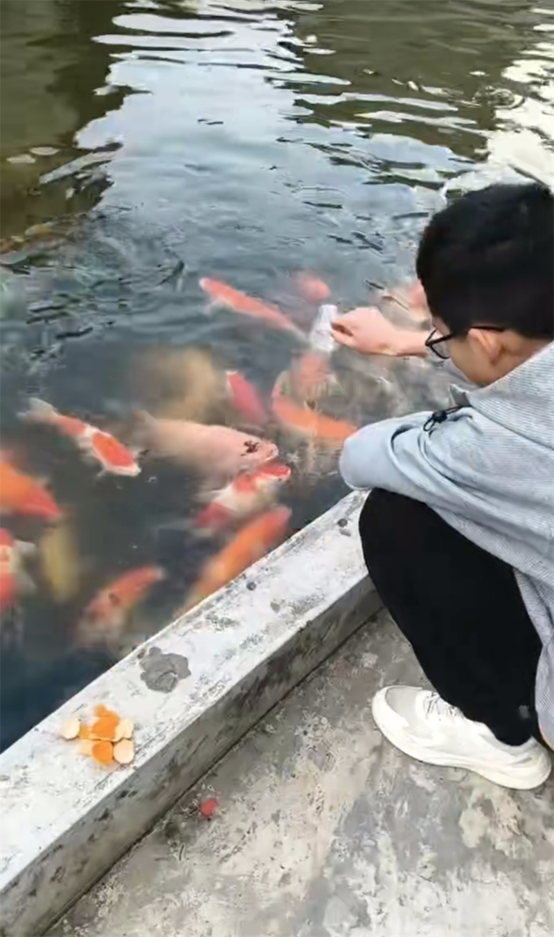 4海南保亭的年,是山海辽阔,是生机盎然2.jpg